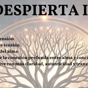 Despierta III La Anatomía del Alma, curso de evolución personal y conciencia espiritual sobre ejes de tensión, planos de tensión e imagen del alma